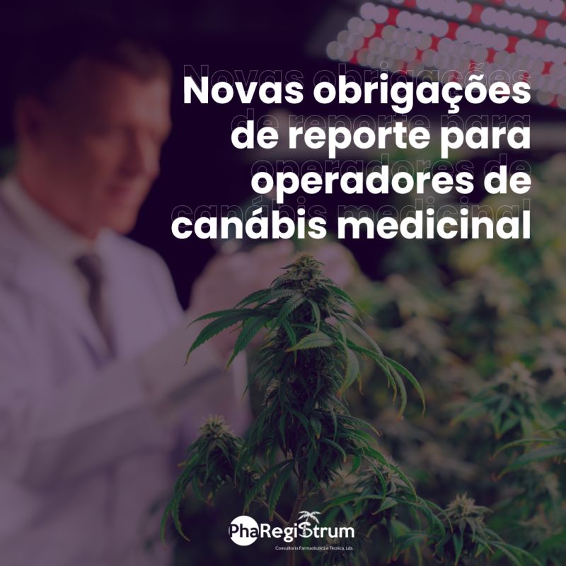 Nuevas obligaciones de información para los operadores de cannabis medicinal